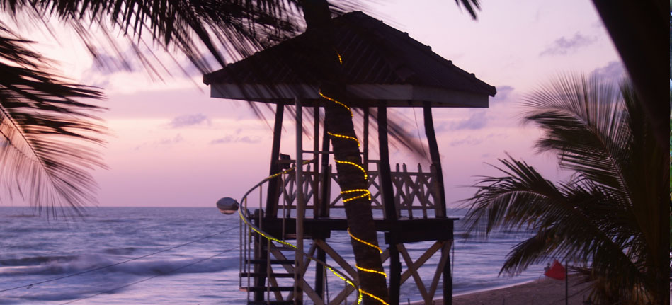 Best Seafood in Sri Lanka, Colombo